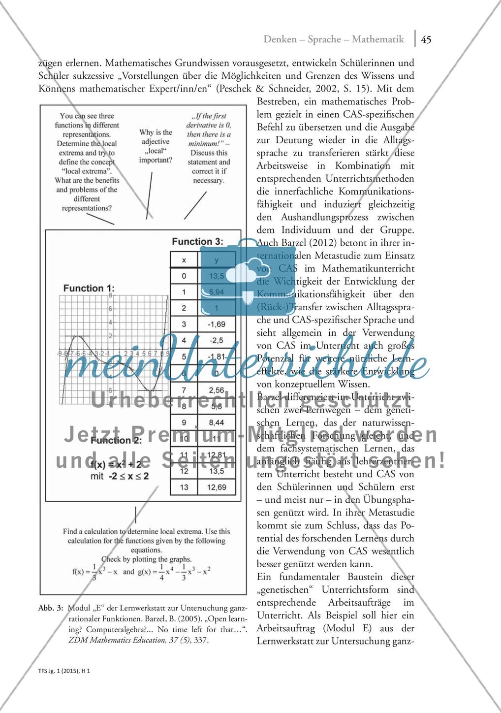 Denken – Sprache – Mathematik: Analyse der Unerlässlichkeit von Sprache beim mathematischen Arbeiten Preview 8