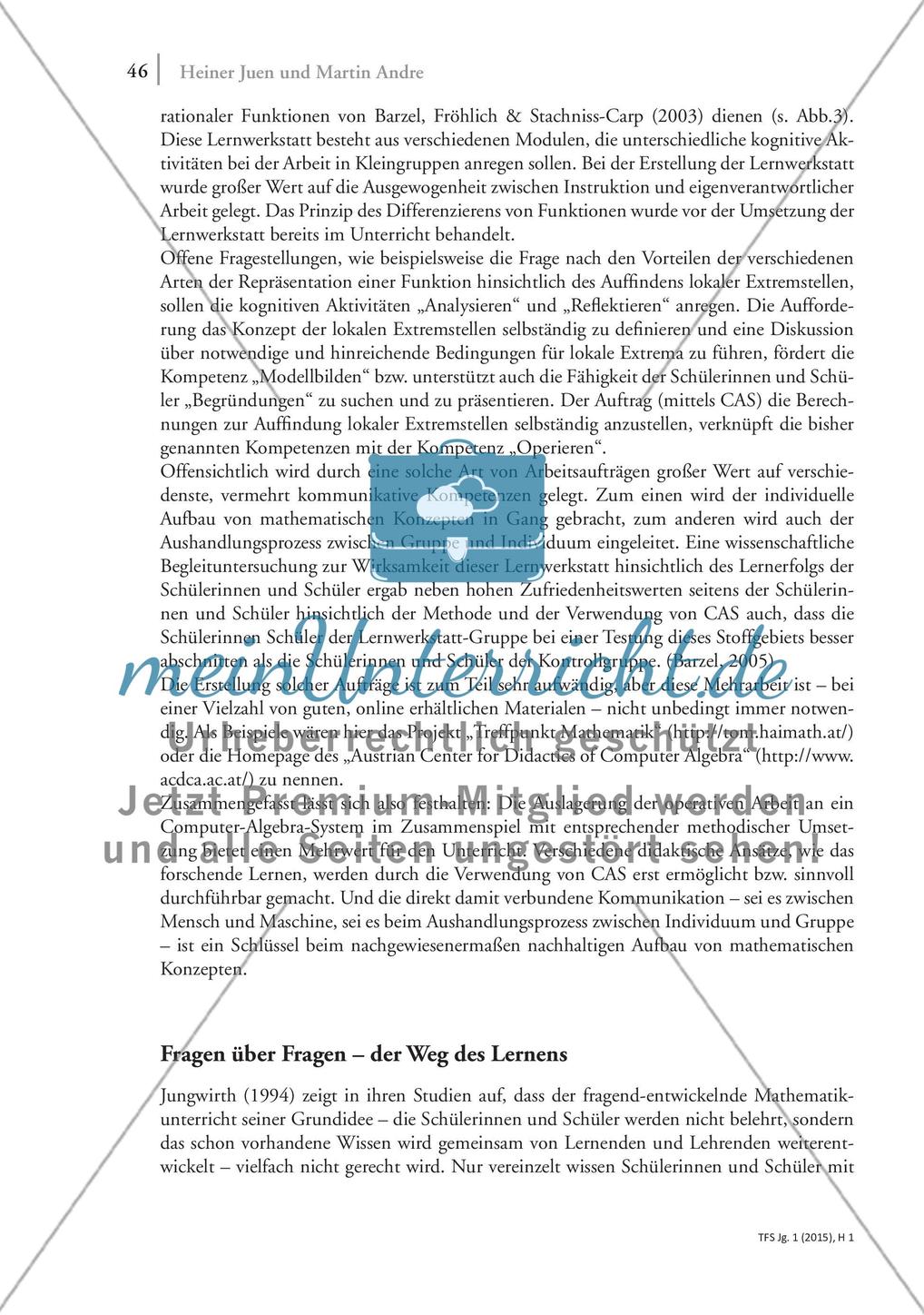 Denken – Sprache – Mathematik: Analyse der Unerlässlichkeit von Sprache beim mathematischen Arbeiten Preview 9