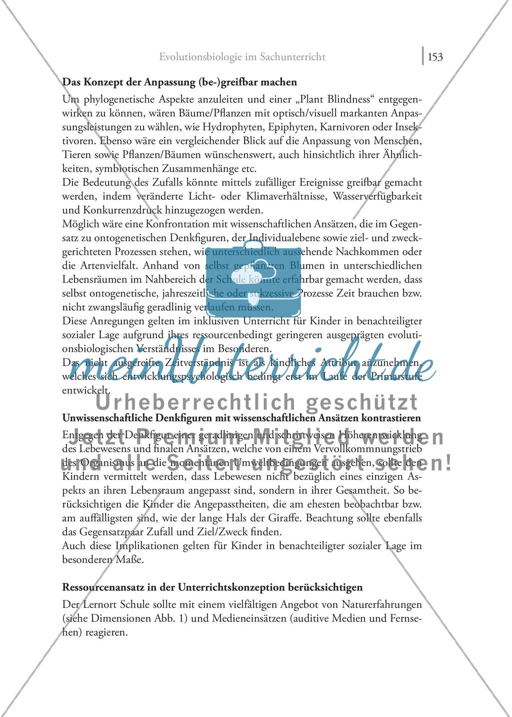 Evolutionsbiologie im Sachunterricht: Bedingungen zur Überwindung von Benachteiligungen der Kinder auf Grund ihrer sozialen Lage Preview 13