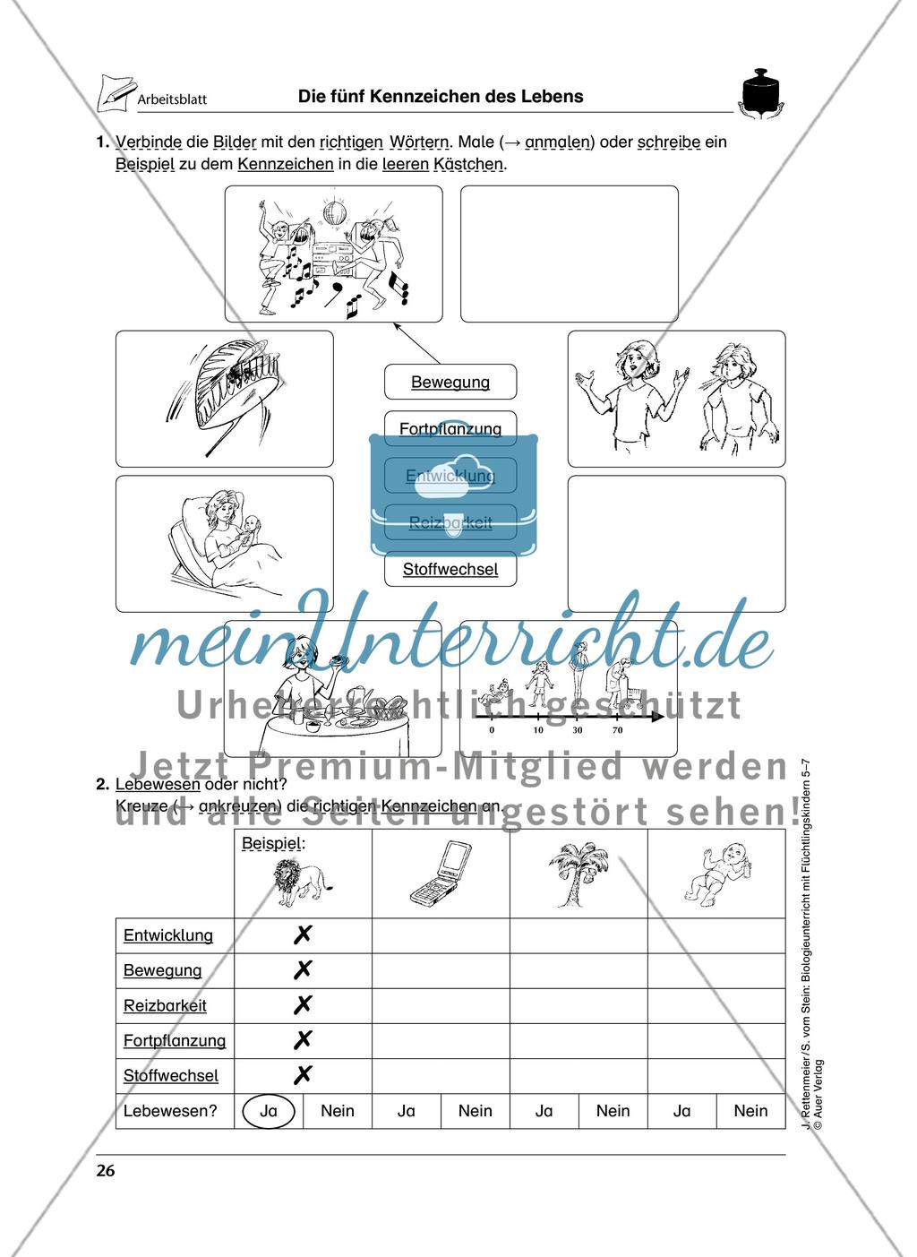 Lebewesen Preview 3