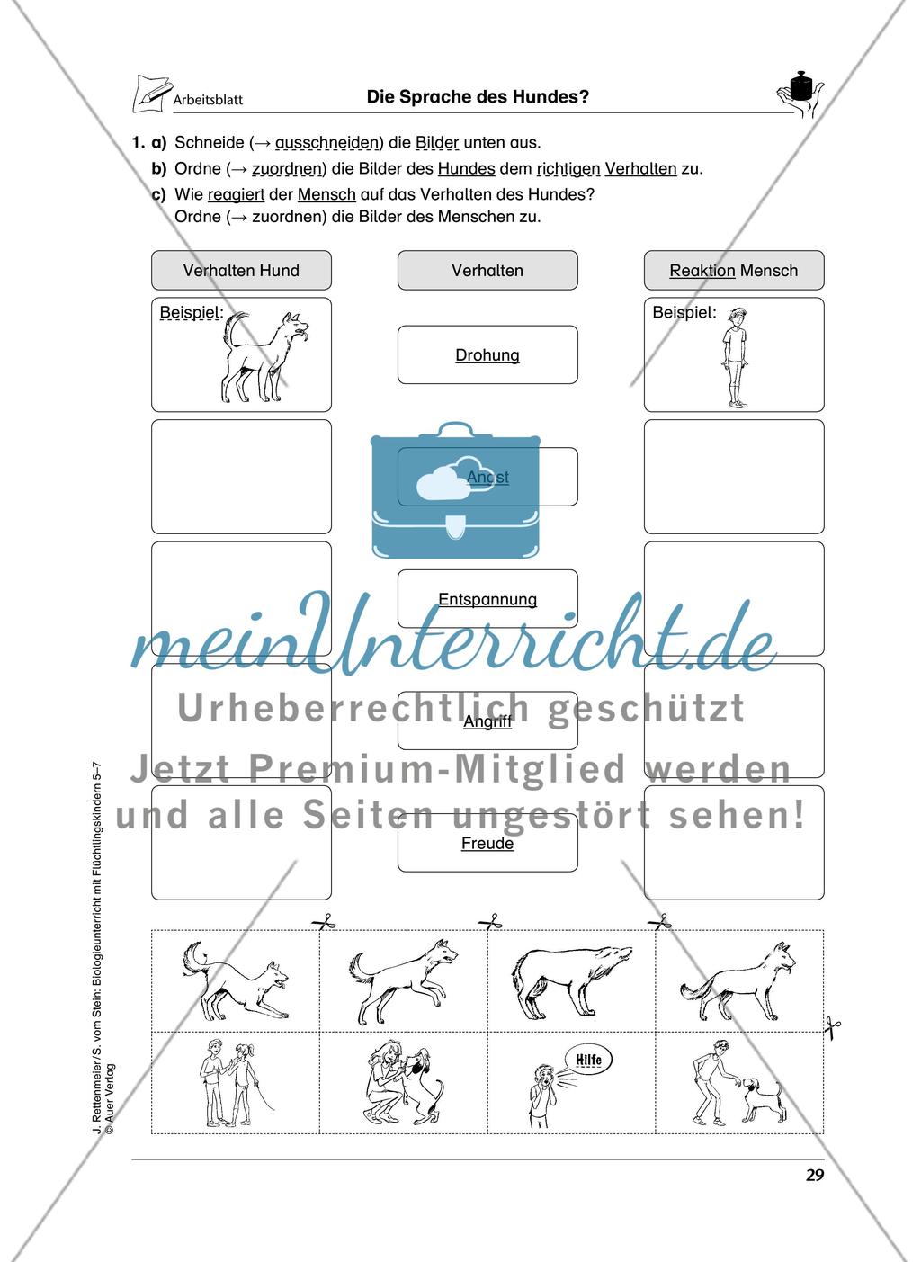 Lebewesen Preview 6