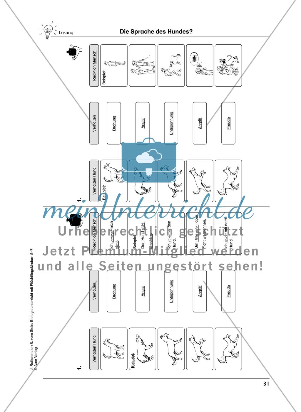 Lebewesen Preview 8