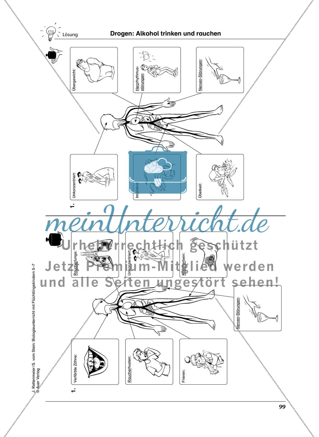 Drogen Preview 4