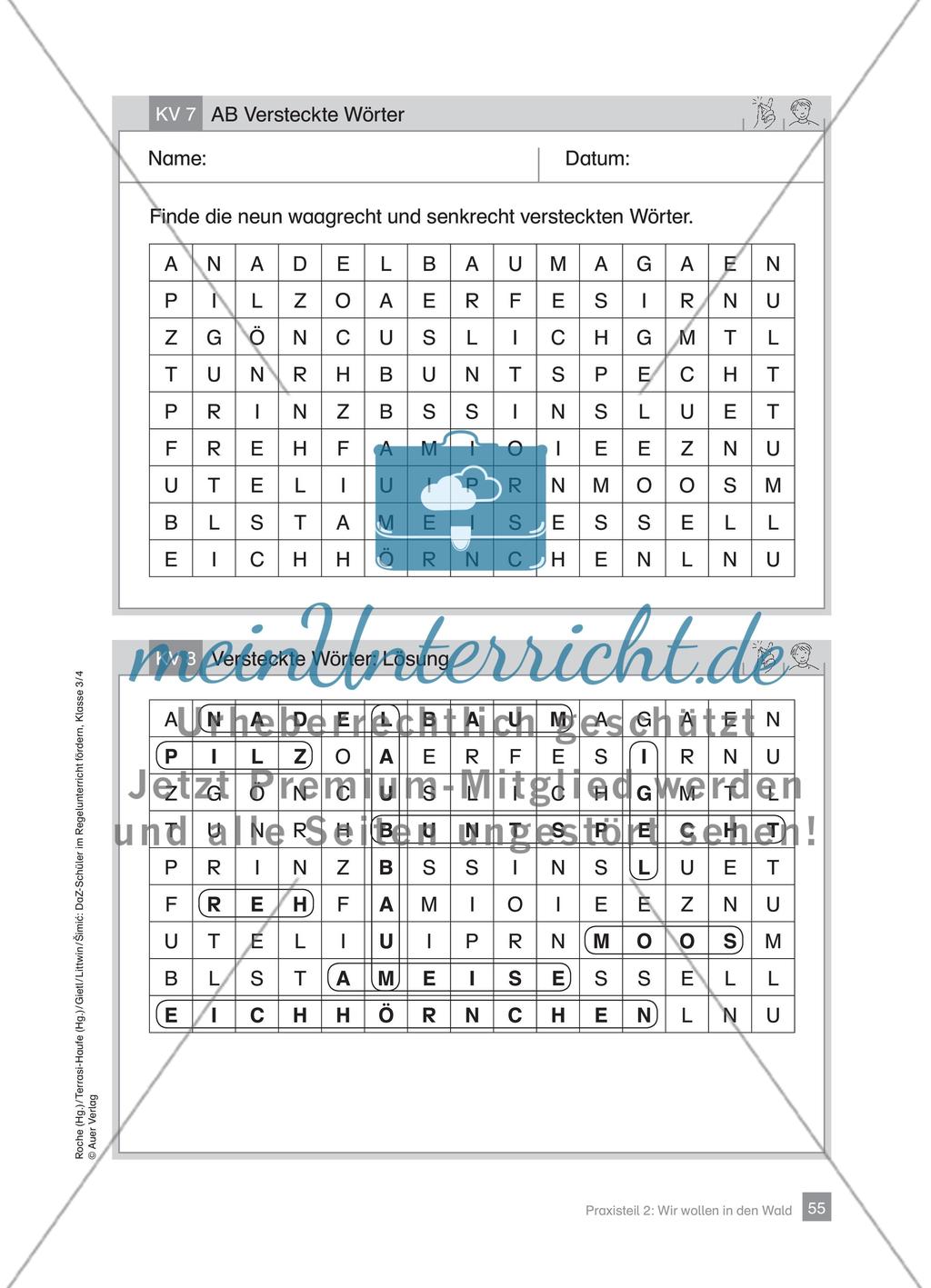 Praxisteil – Wir wollen in den Wald Preview 13