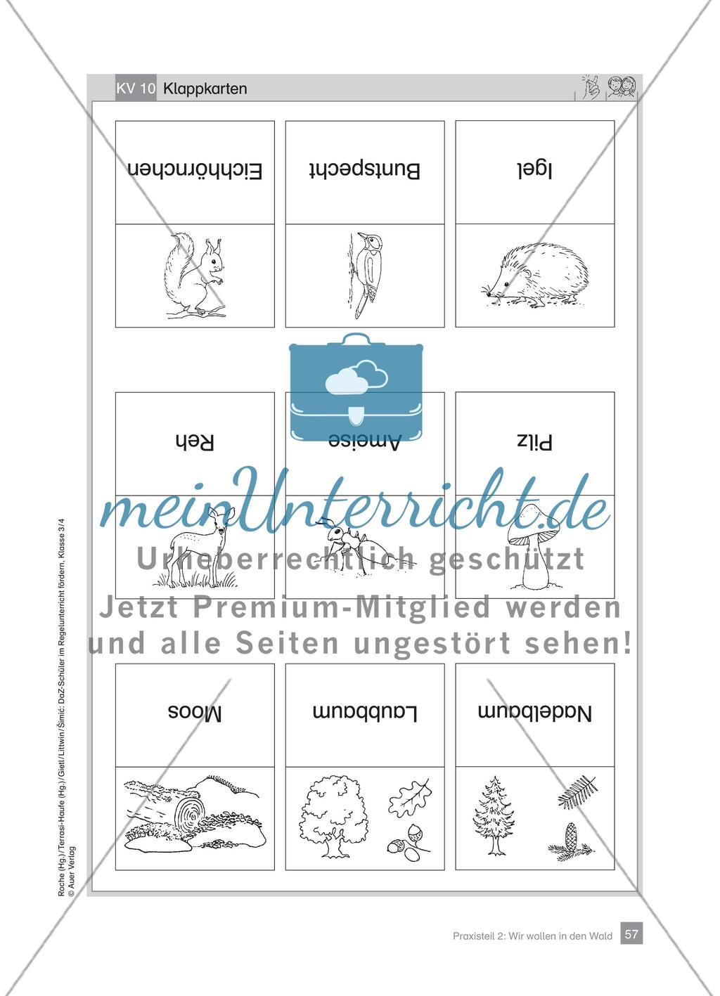 Praxisteil – Wir wollen in den Wald Preview 15