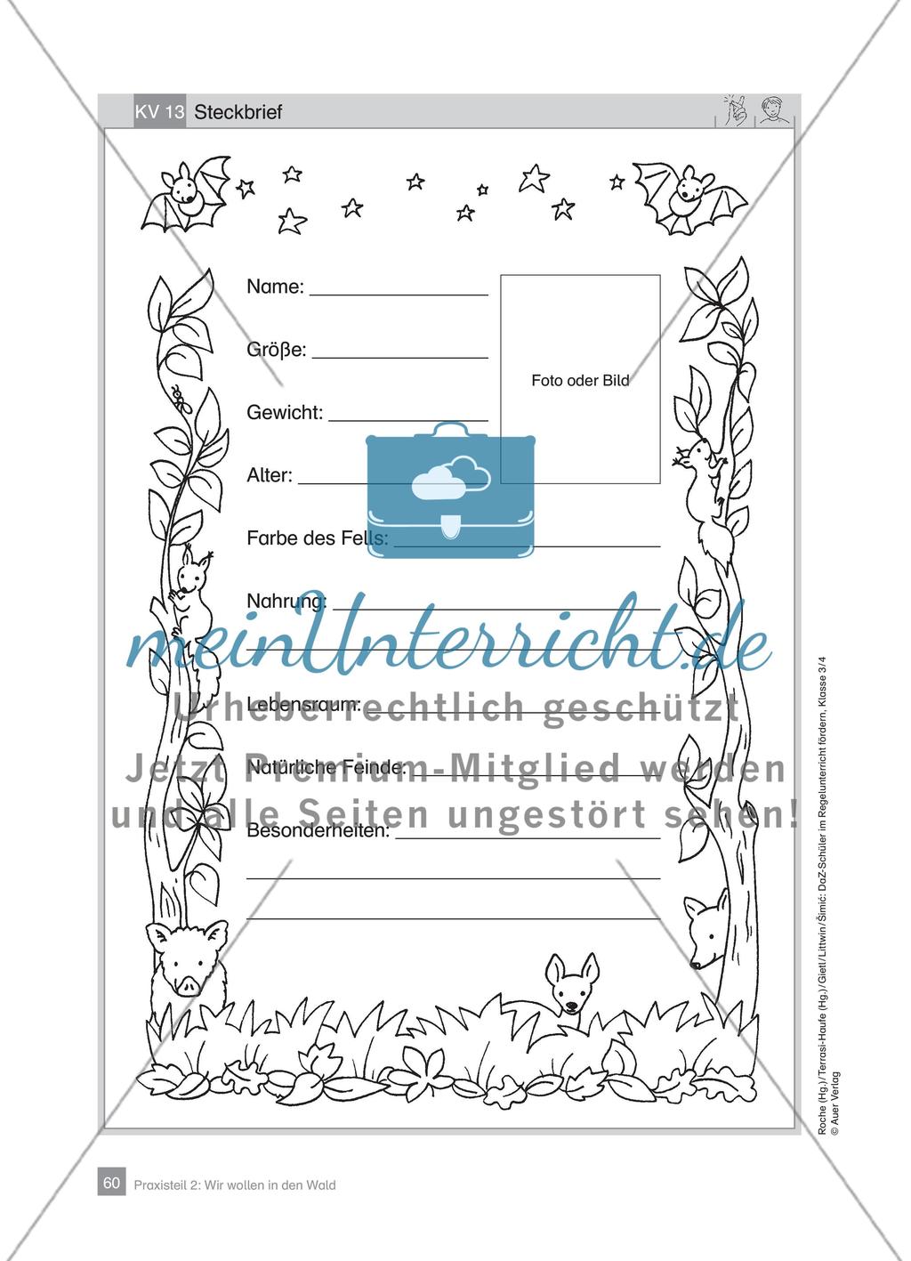 Praxisteil – Wir wollen in den Wald Preview 18