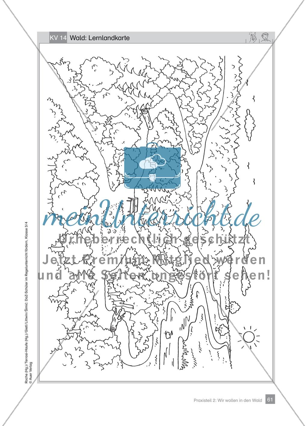 Praxisteil – Wir wollen in den Wald Preview 19