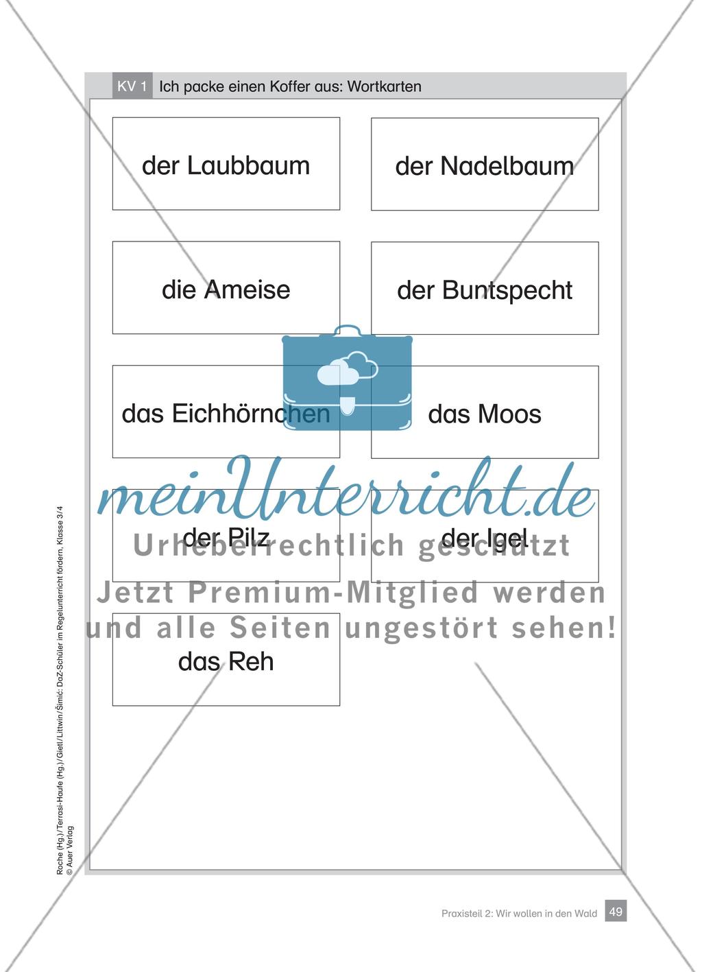 Praxisteil – Wir wollen in den Wald Preview 7