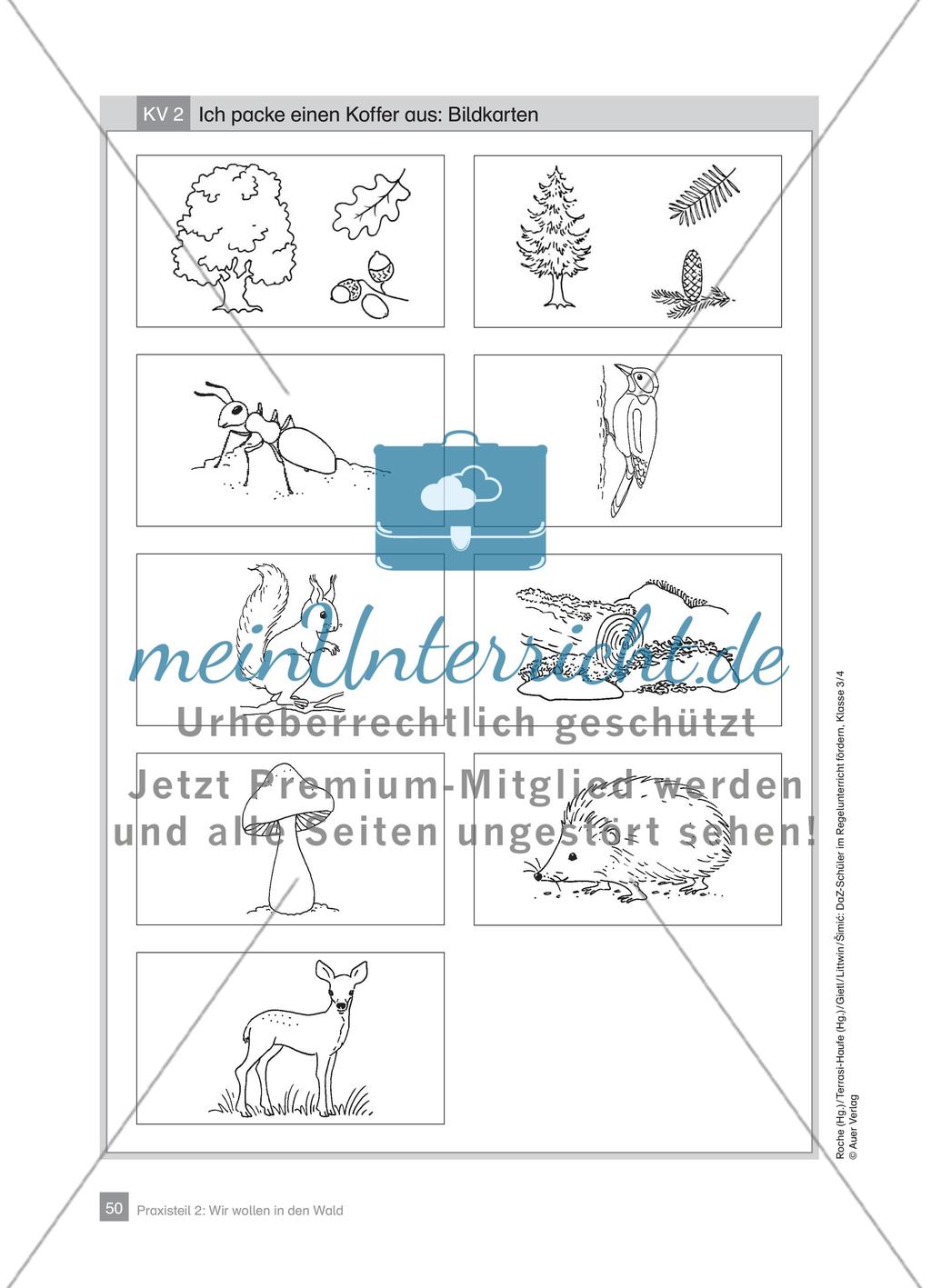 Praxisteil – Wir wollen in den Wald Preview 8