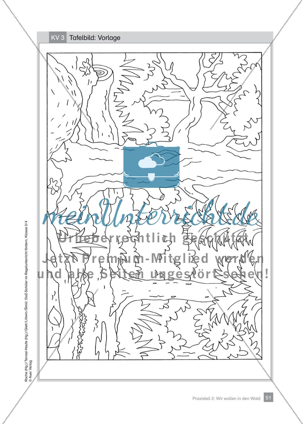 Praxisteil – Wir wollen in den Wald Preview 9