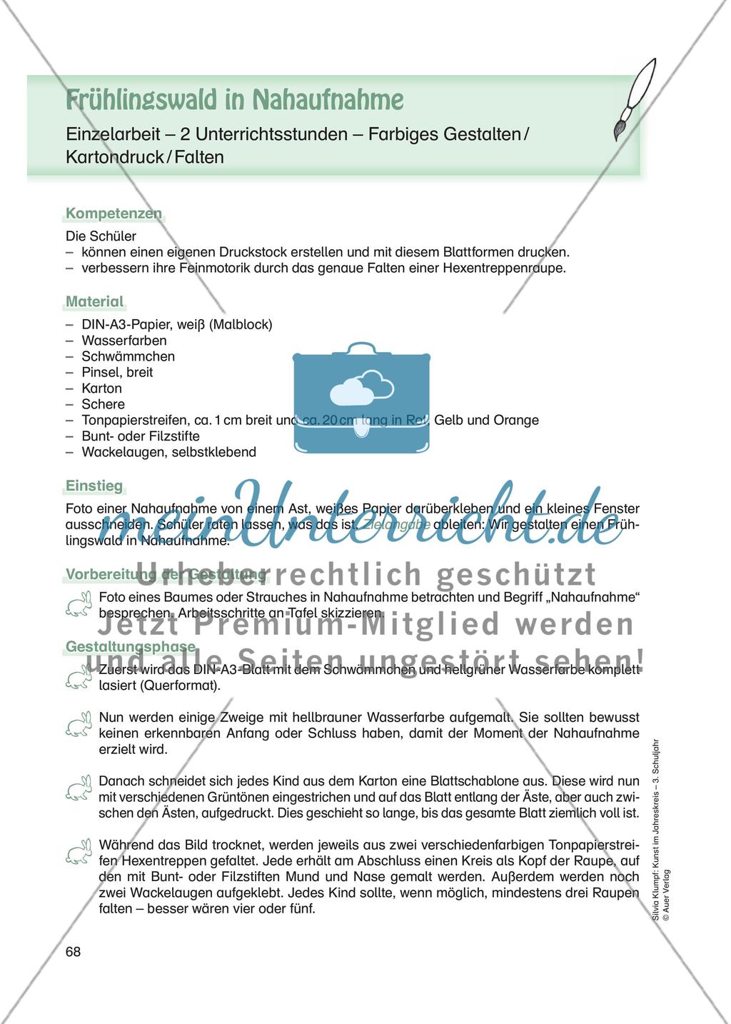 Frühlingswald in Nahaufnahme Preview 1