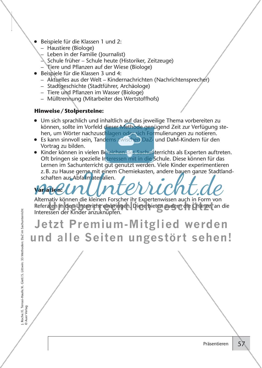 Präsentieren Preview 8
