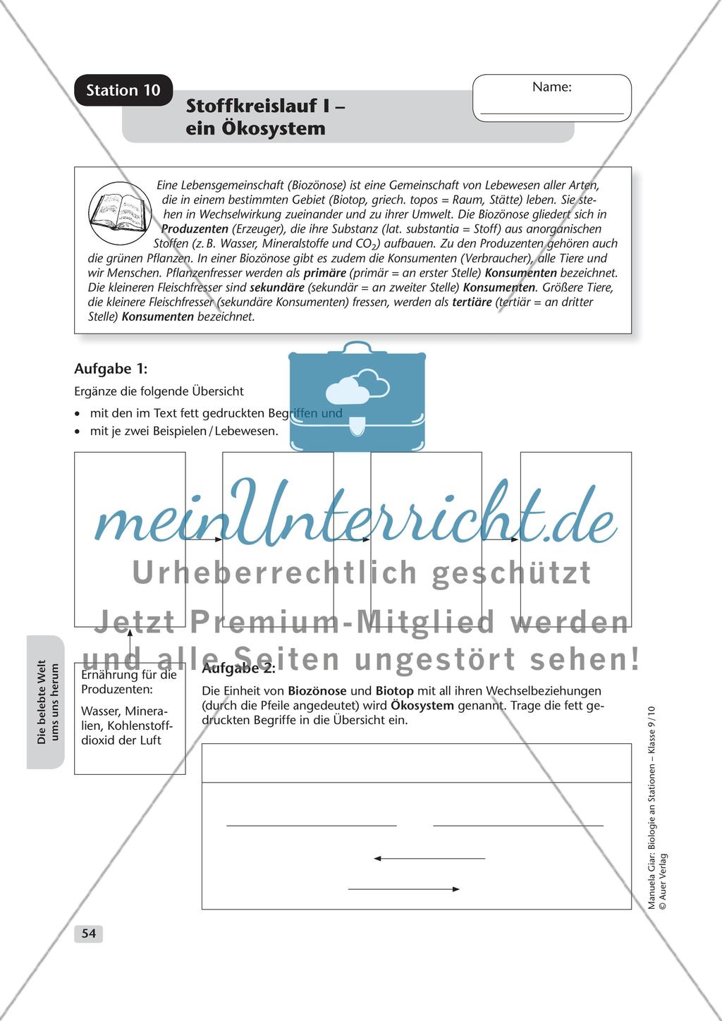 Die belebte Welt um uns herum Preview 10