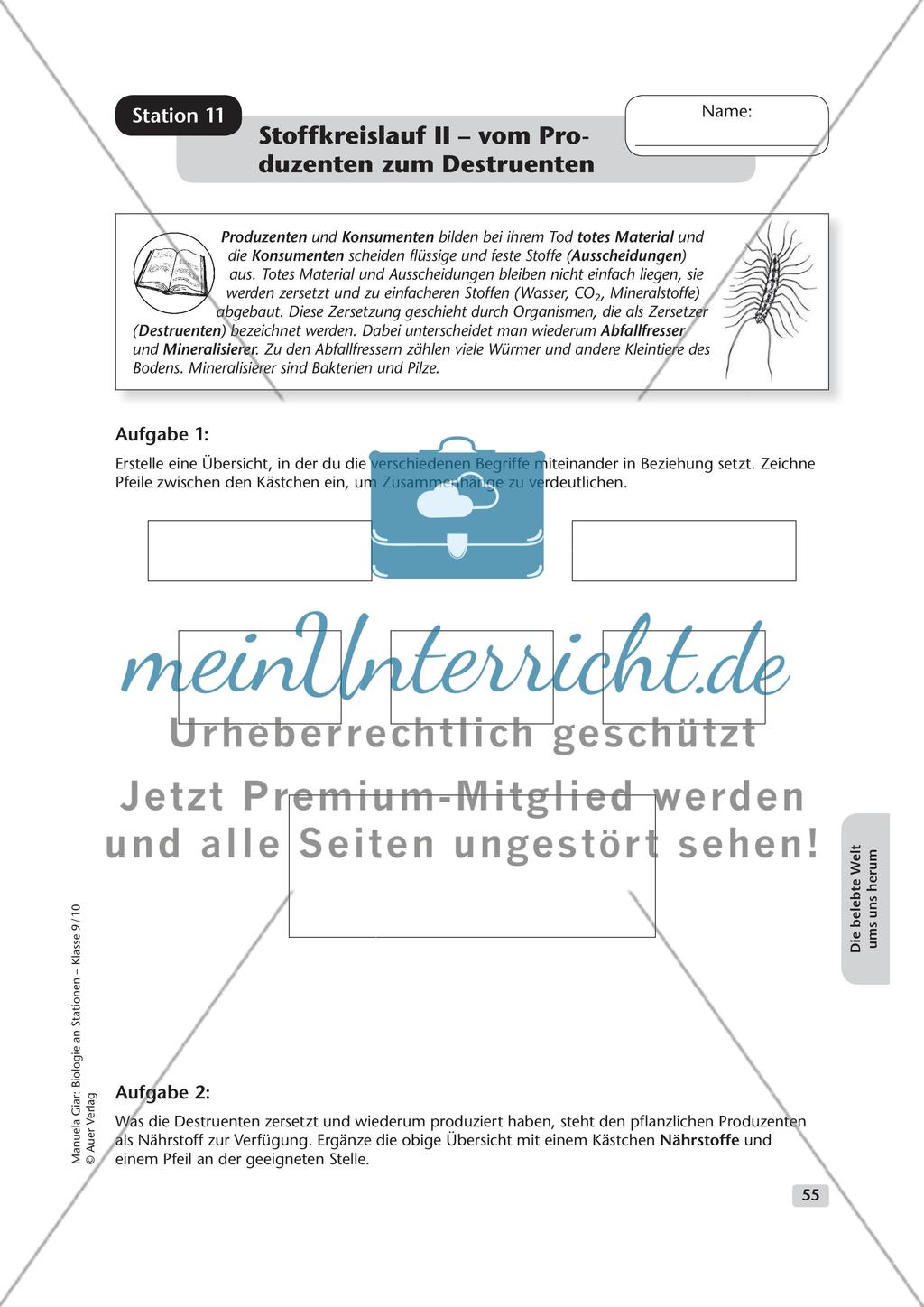 Die belebte Welt um uns herum Preview 11