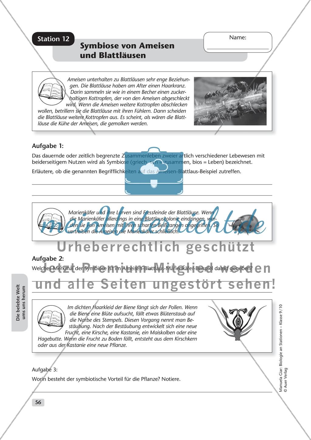 Die belebte Welt um uns herum Preview 12