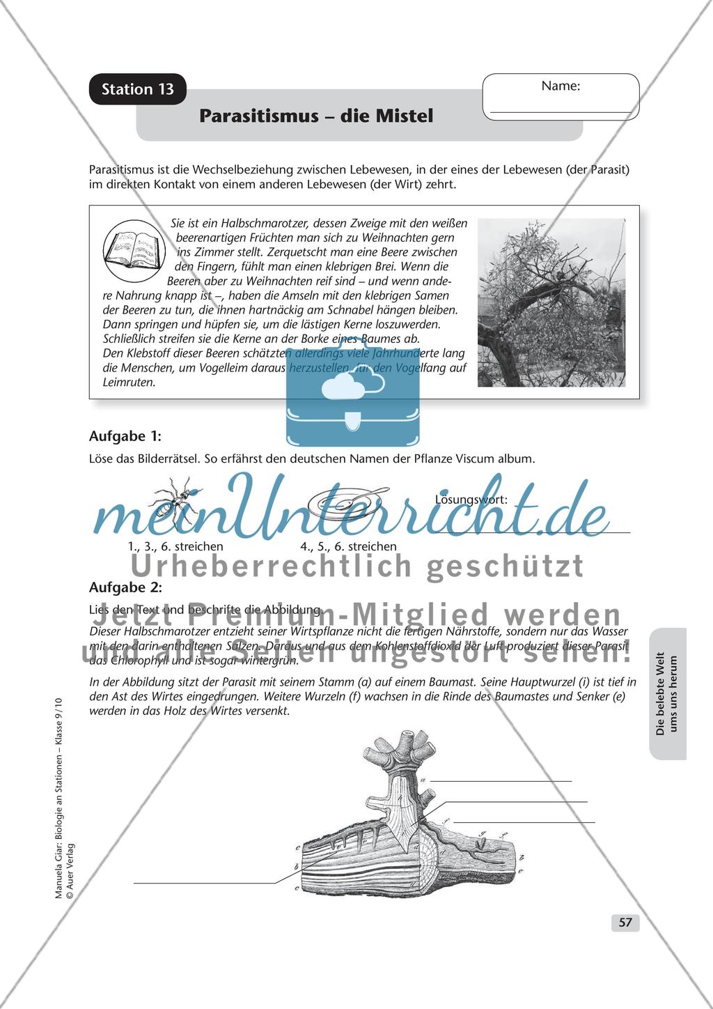 Die belebte Welt um uns herum Preview 13