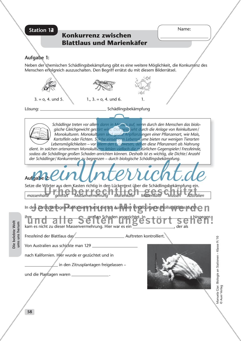 Die belebte Welt um uns herum Preview 14