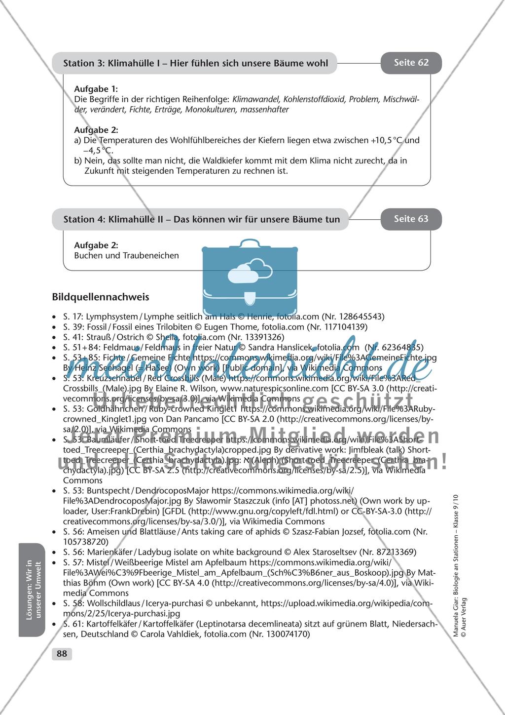 Die belebte Welt um uns herum Preview 15