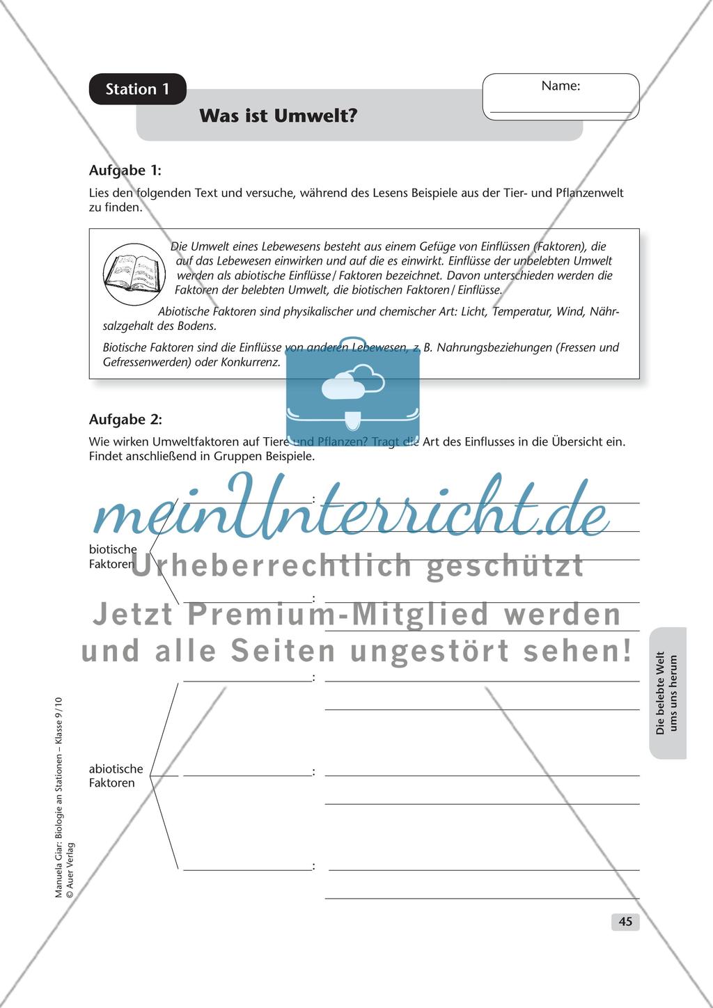 Die belebte Welt um uns herum Preview 1