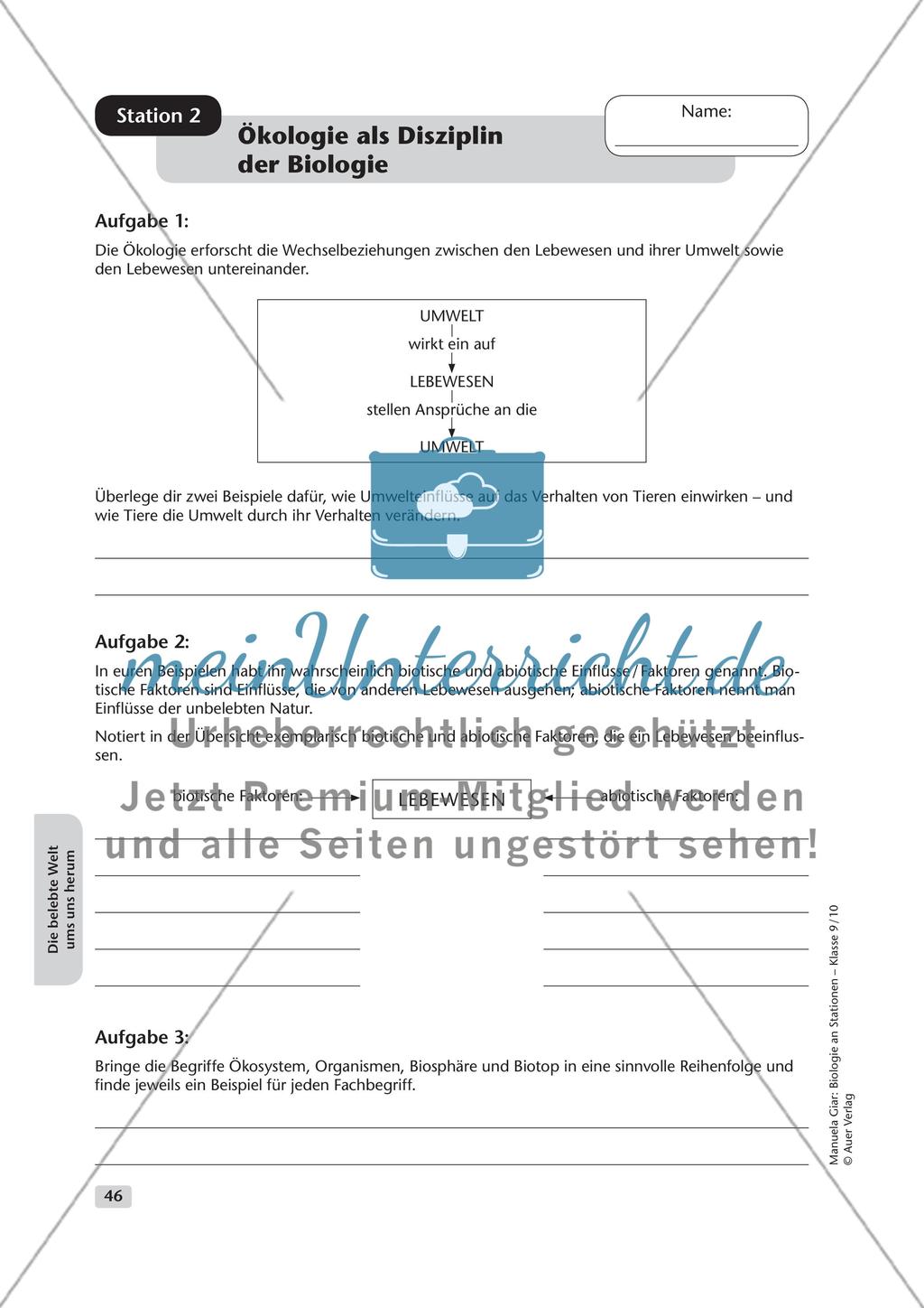 Die belebte Welt um uns herum Preview 2