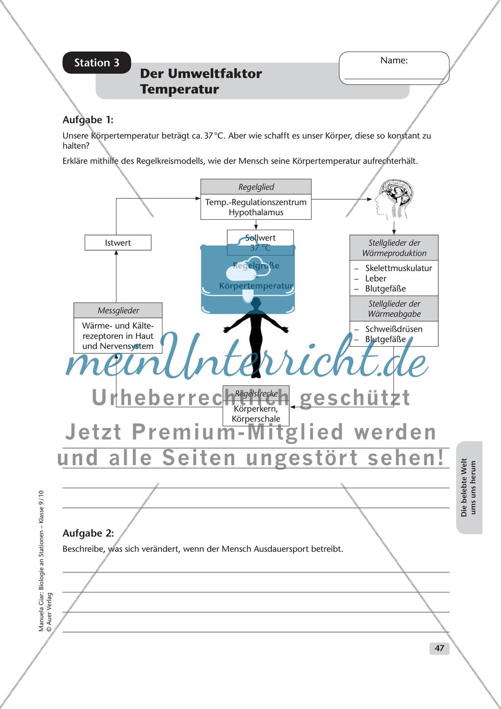 Die belebte Welt um uns herum Preview 3