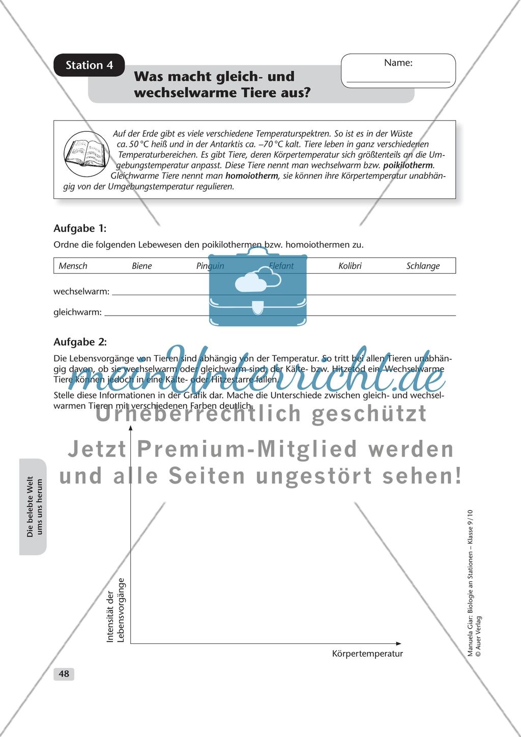Die belebte Welt um uns herum Preview 4