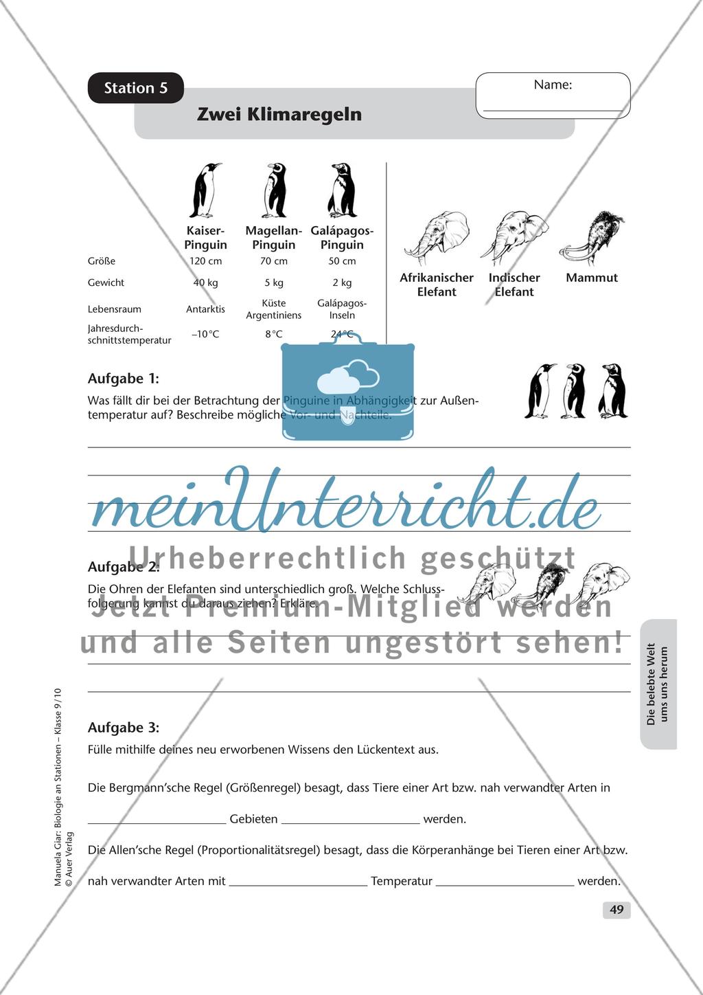 Die belebte Welt um uns herum Preview 5