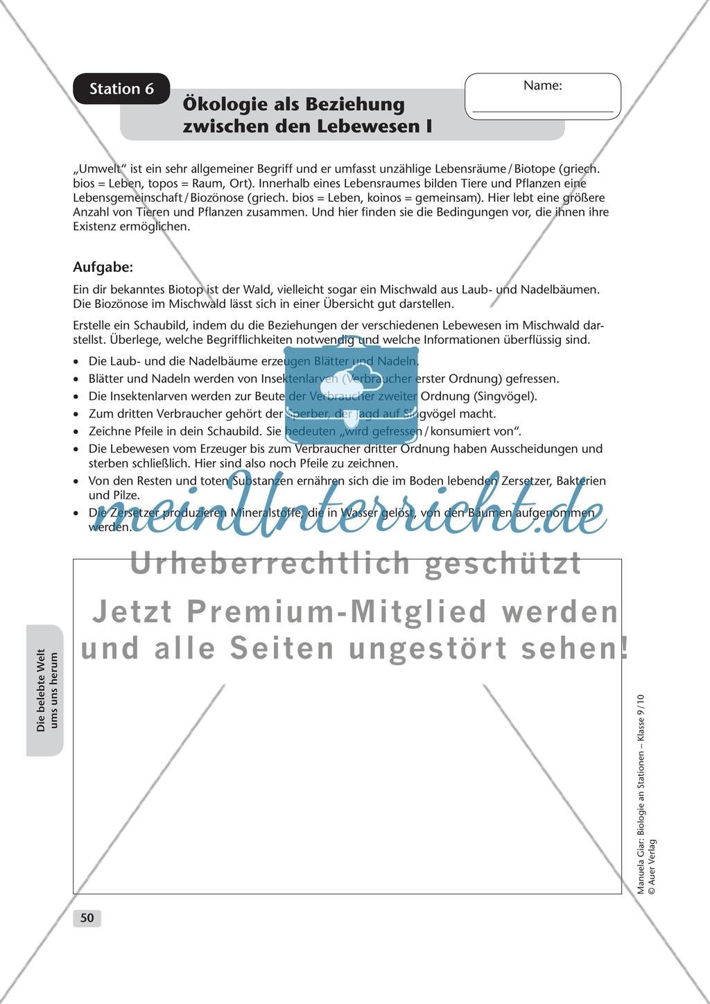 Die belebte Welt um uns herum Preview 6