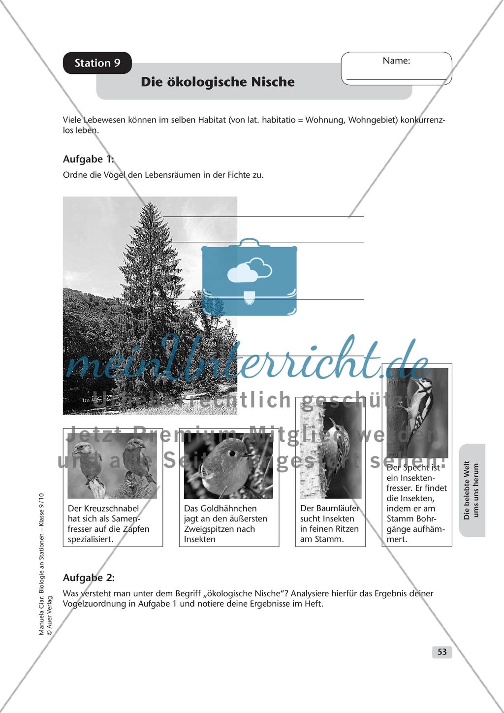 Die belebte Welt um uns herum Preview 9