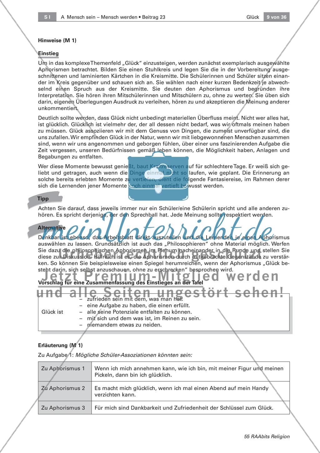 Glück: Eine philosophische Betrachtung Preview 3