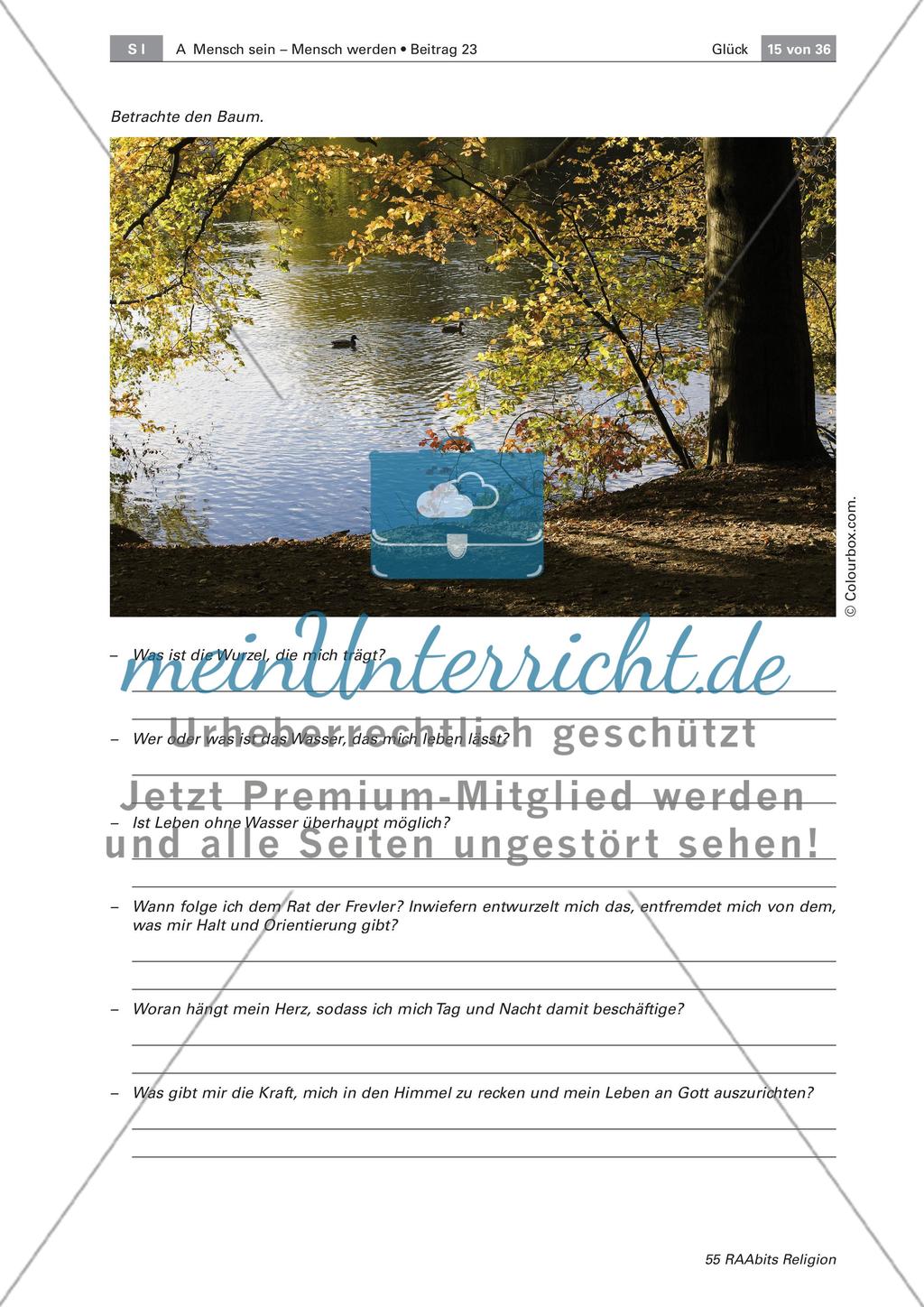 Glück: Verortung in der Bibel Preview 2