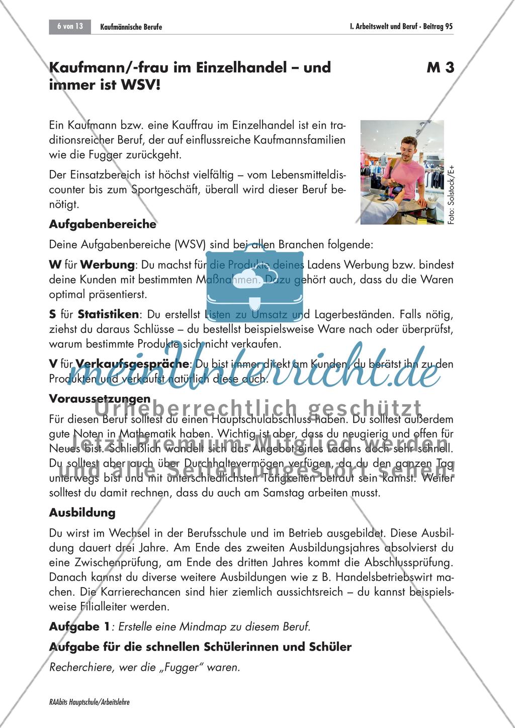 Kaufmännische Berufe Preview 6