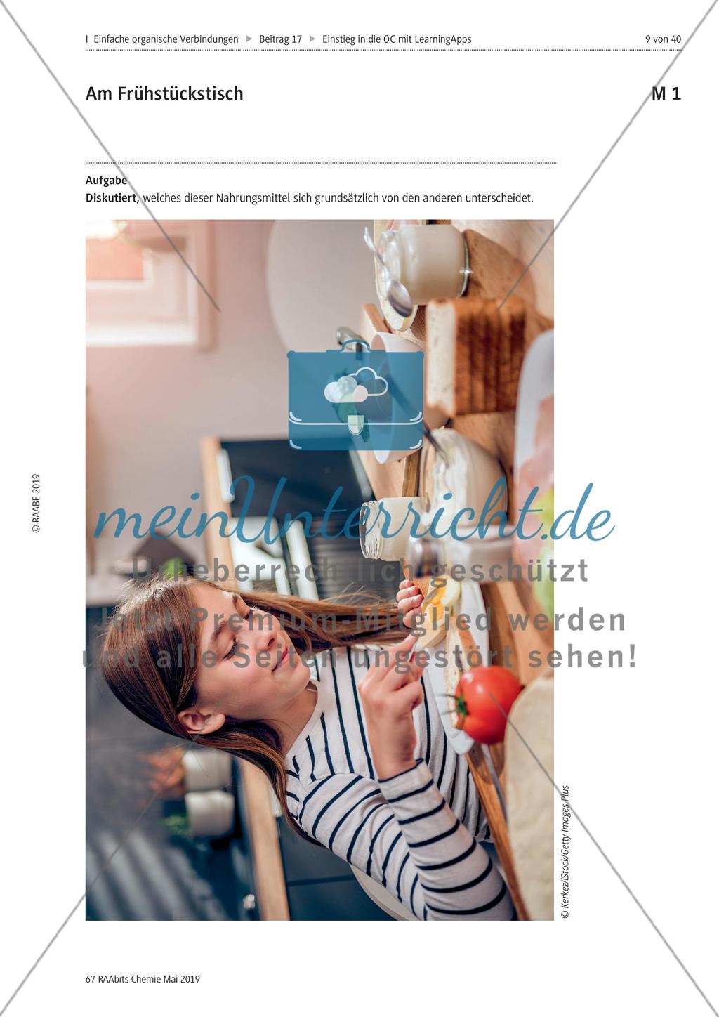 Organische Chemie: Grundzüge Preview 1