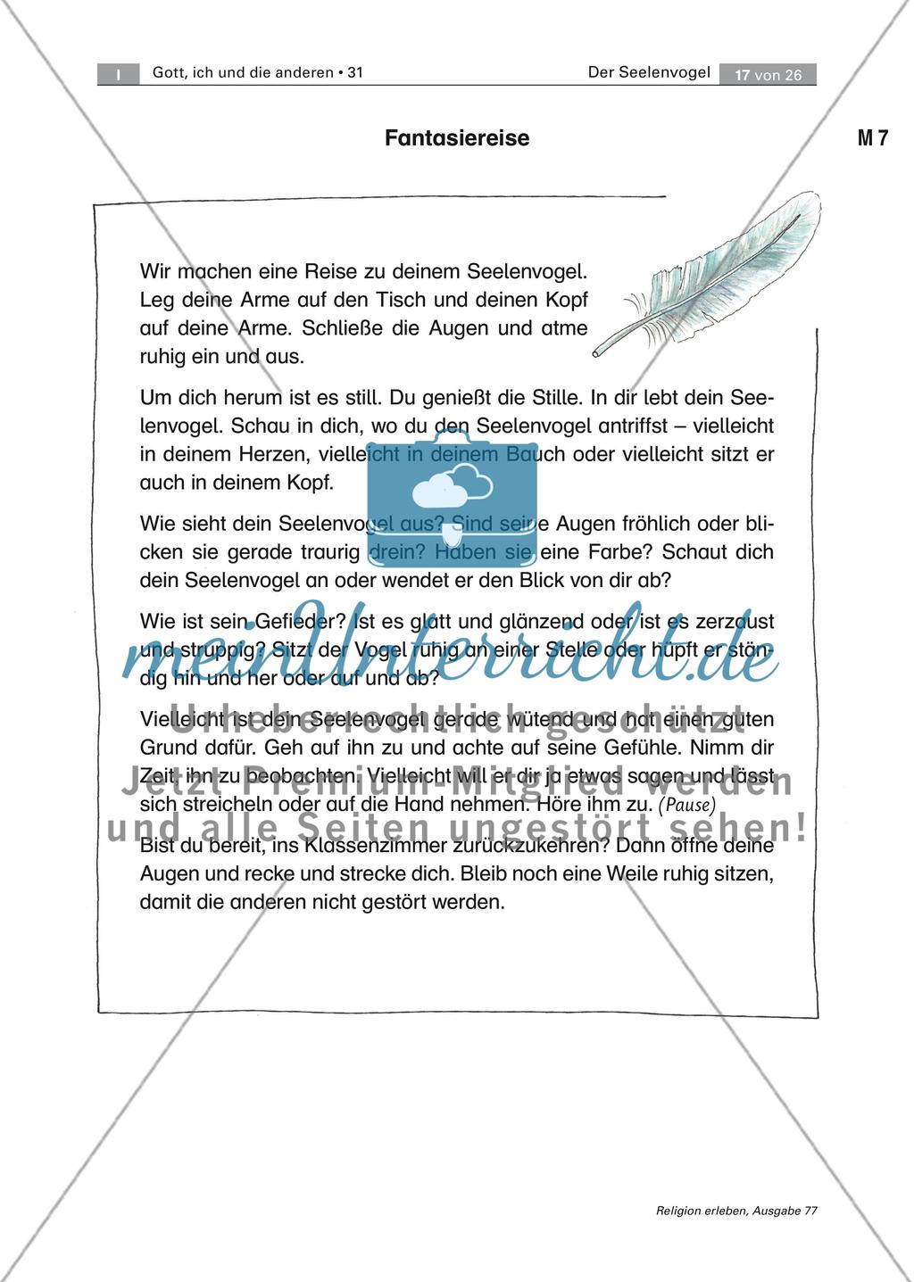 Die eigene Seele und der Ausdruck von Gefühlen Preview 1