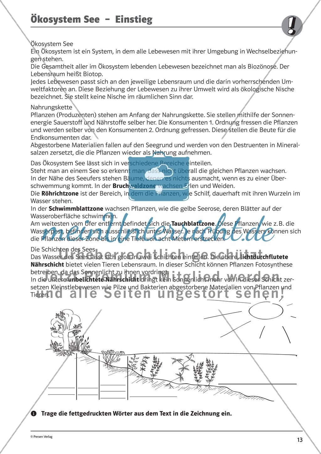 Ökosysteme Preview 1
