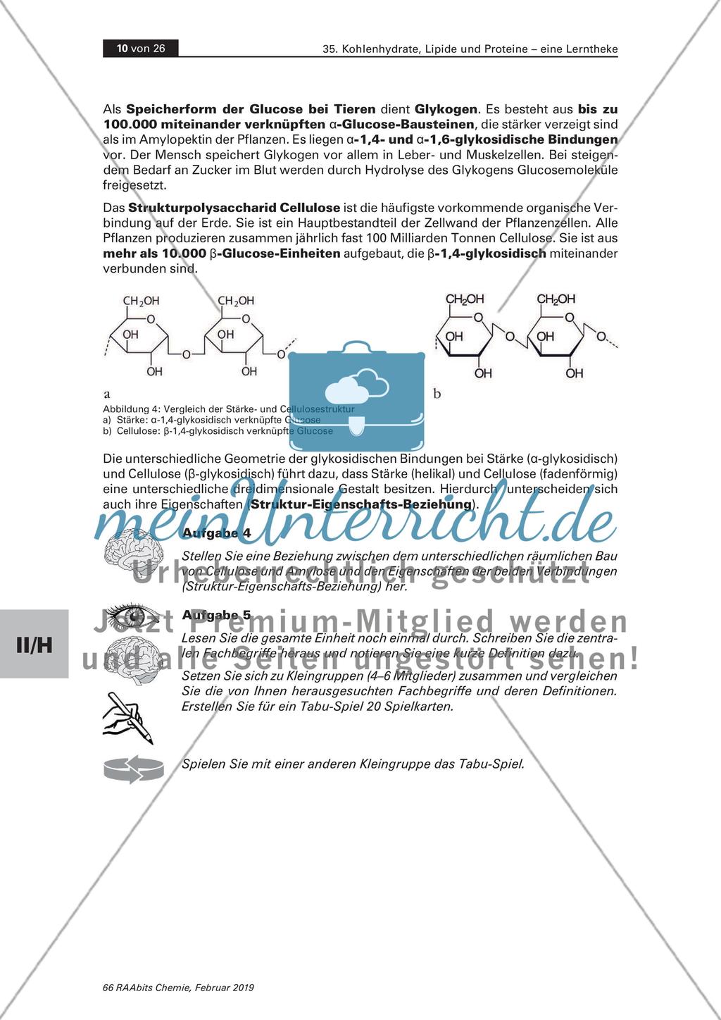 Lerntheke: Kohlenhydrate, Lipide und Proteine Preview 10