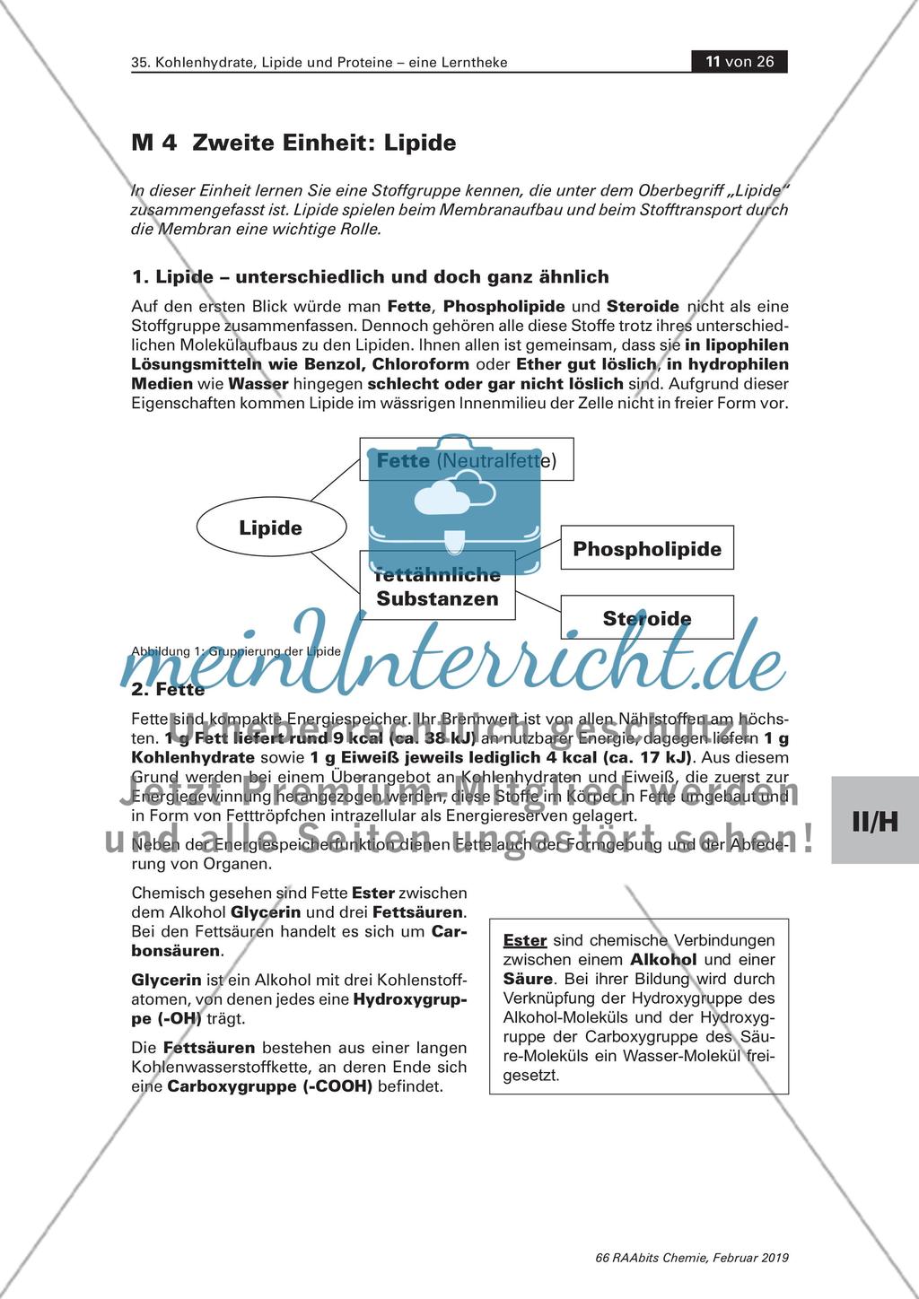 Lerntheke: Kohlenhydrate, Lipide und Proteine Preview 11