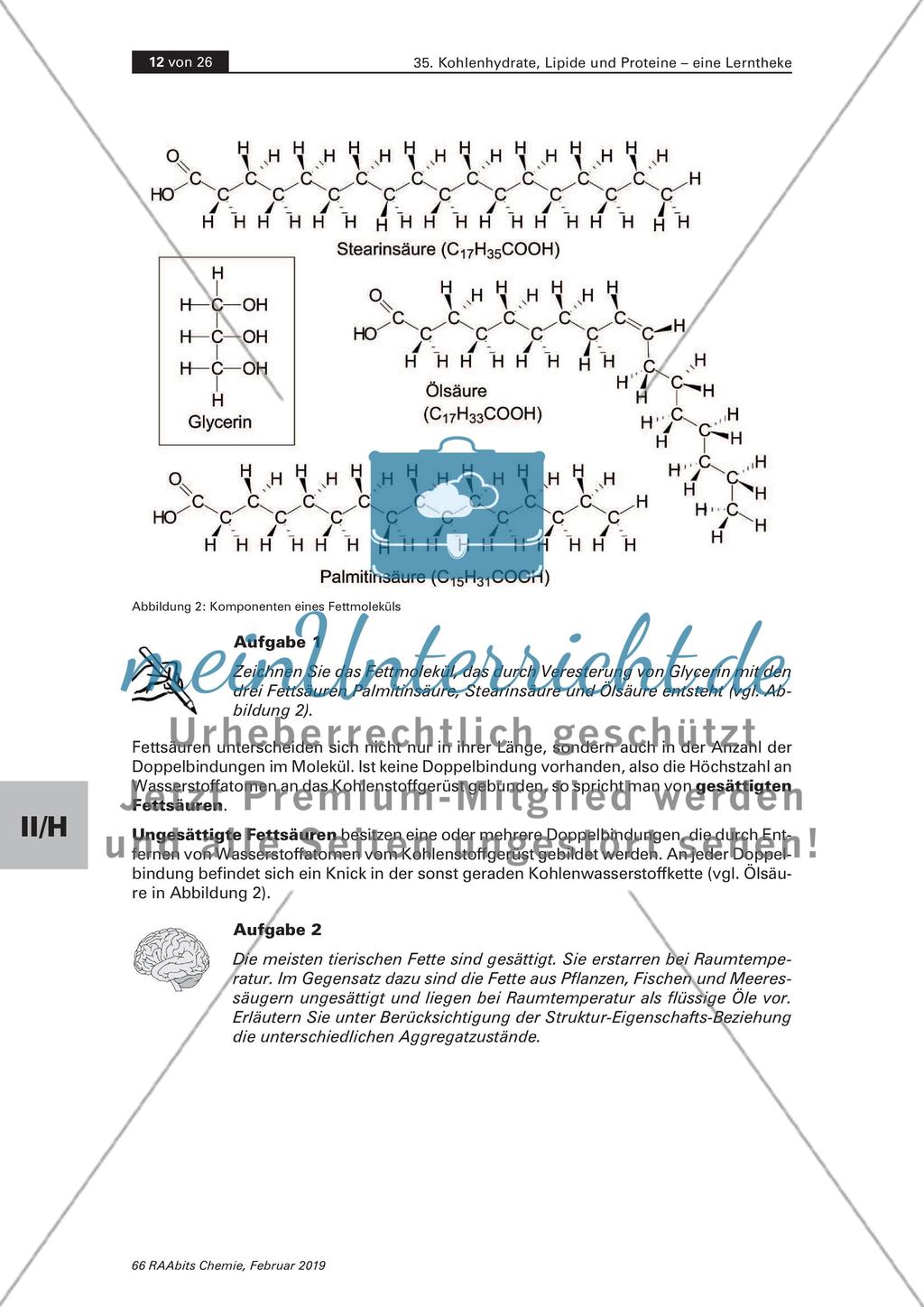 Lerntheke: Kohlenhydrate, Lipide und Proteine Preview 12