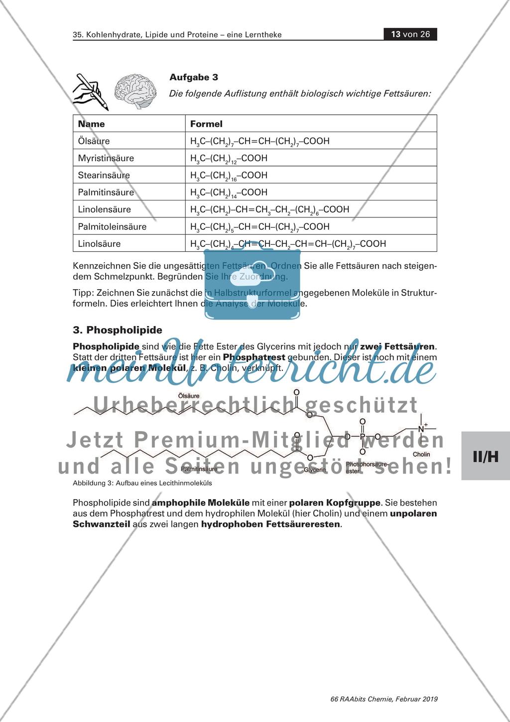 Lerntheke: Kohlenhydrate, Lipide und Proteine Preview 13