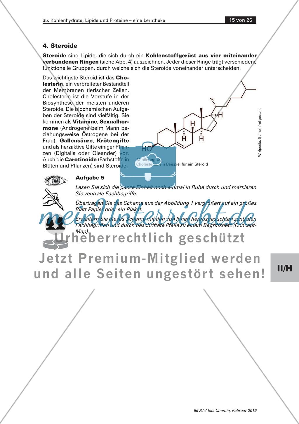 Lerntheke: Kohlenhydrate, Lipide und Proteine Preview 15