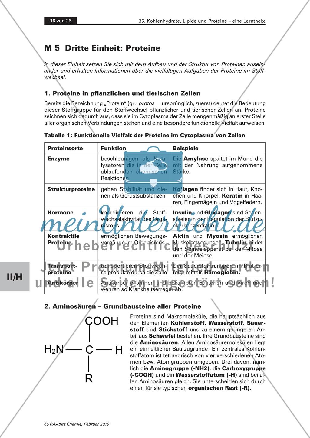 Lerntheke: Kohlenhydrate, Lipide und Proteine Preview 16