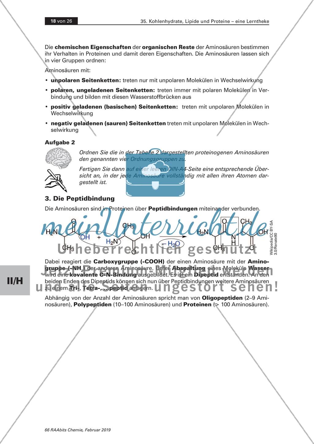 Lerntheke: Kohlenhydrate, Lipide und Proteine Preview 18