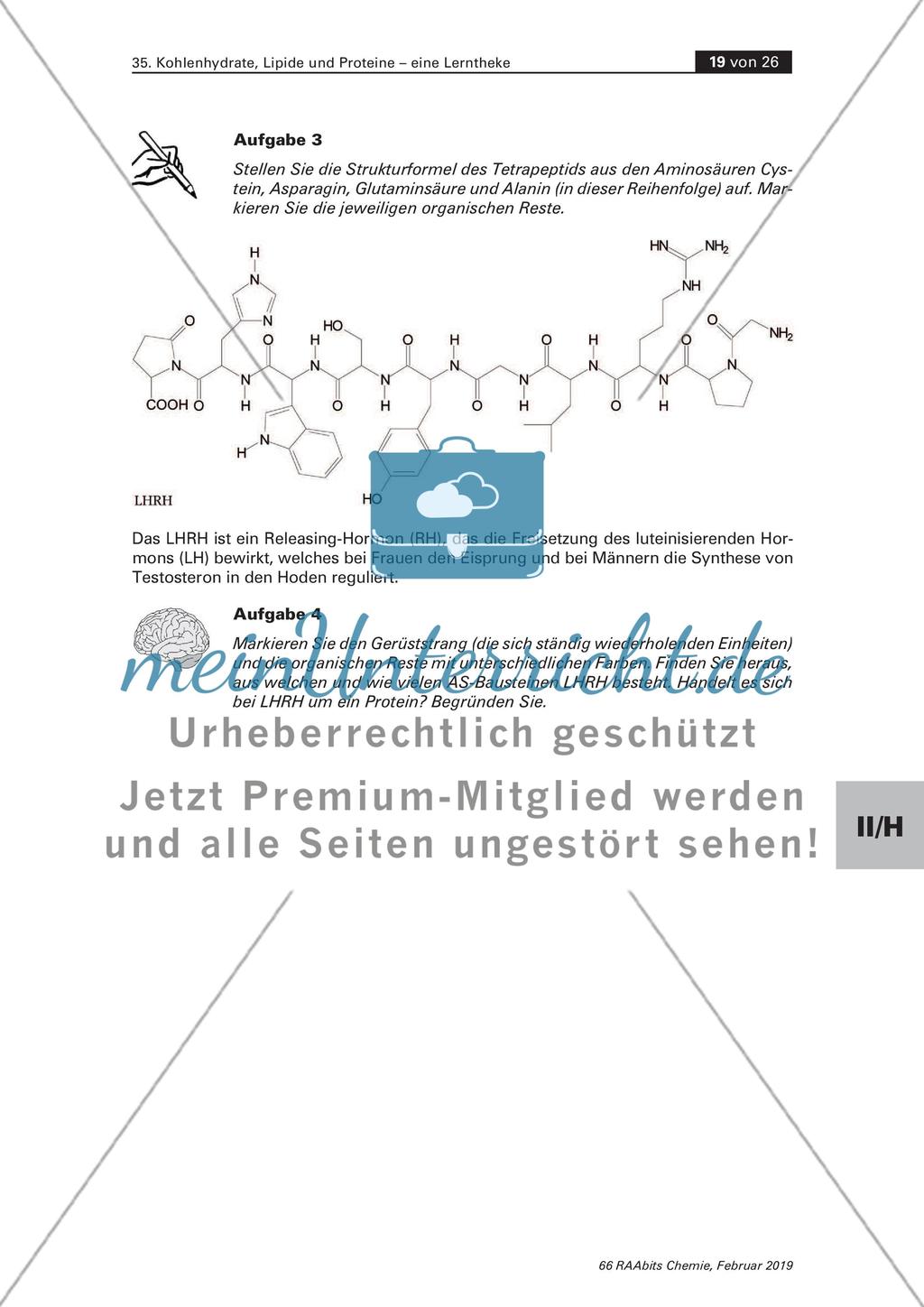 Lerntheke: Kohlenhydrate, Lipide und Proteine Preview 19