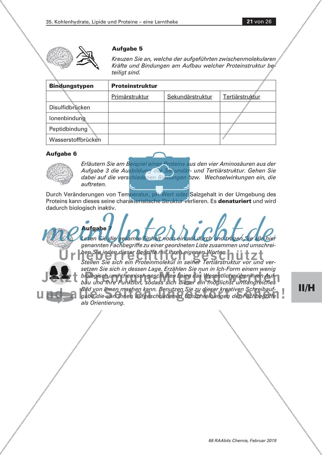 Lerntheke: Kohlenhydrate, Lipide und Proteine Preview 21
