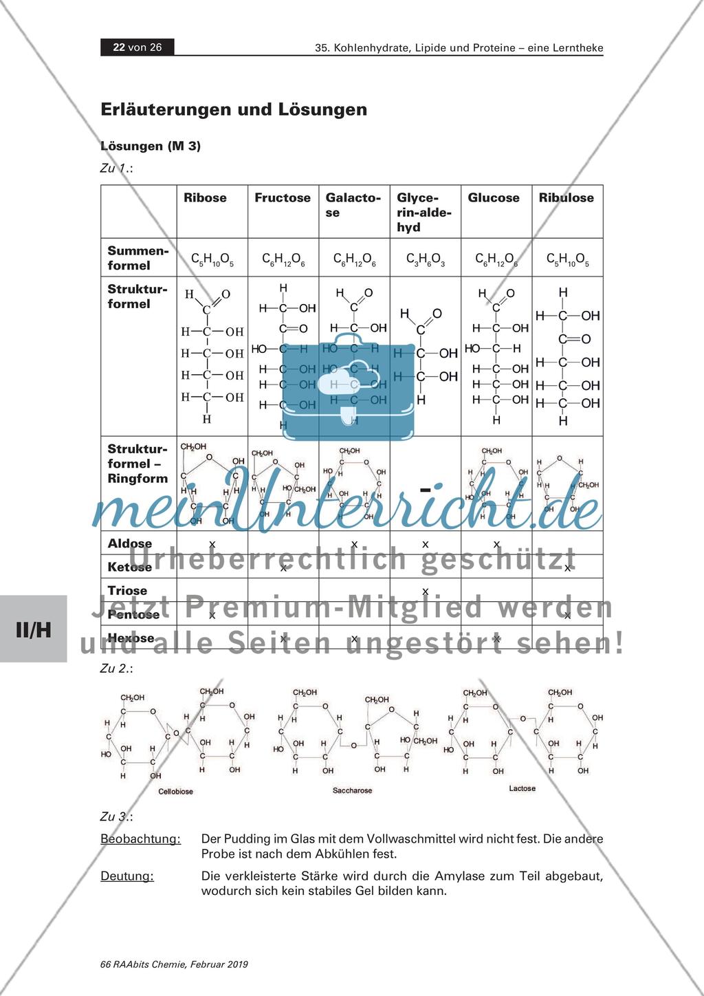 Lerntheke: Kohlenhydrate, Lipide und Proteine Preview 22