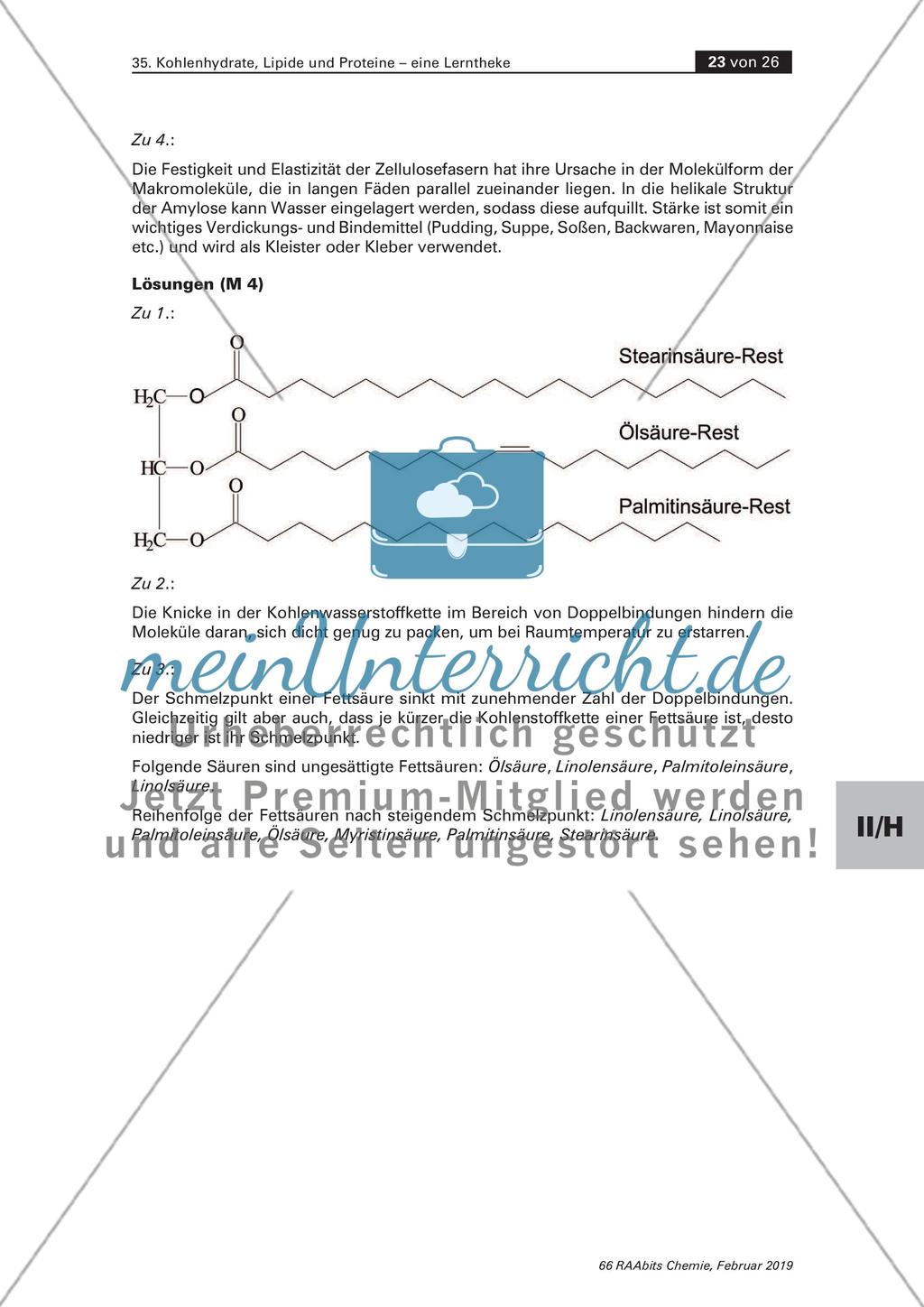 Lerntheke: Kohlenhydrate, Lipide und Proteine Preview 23
