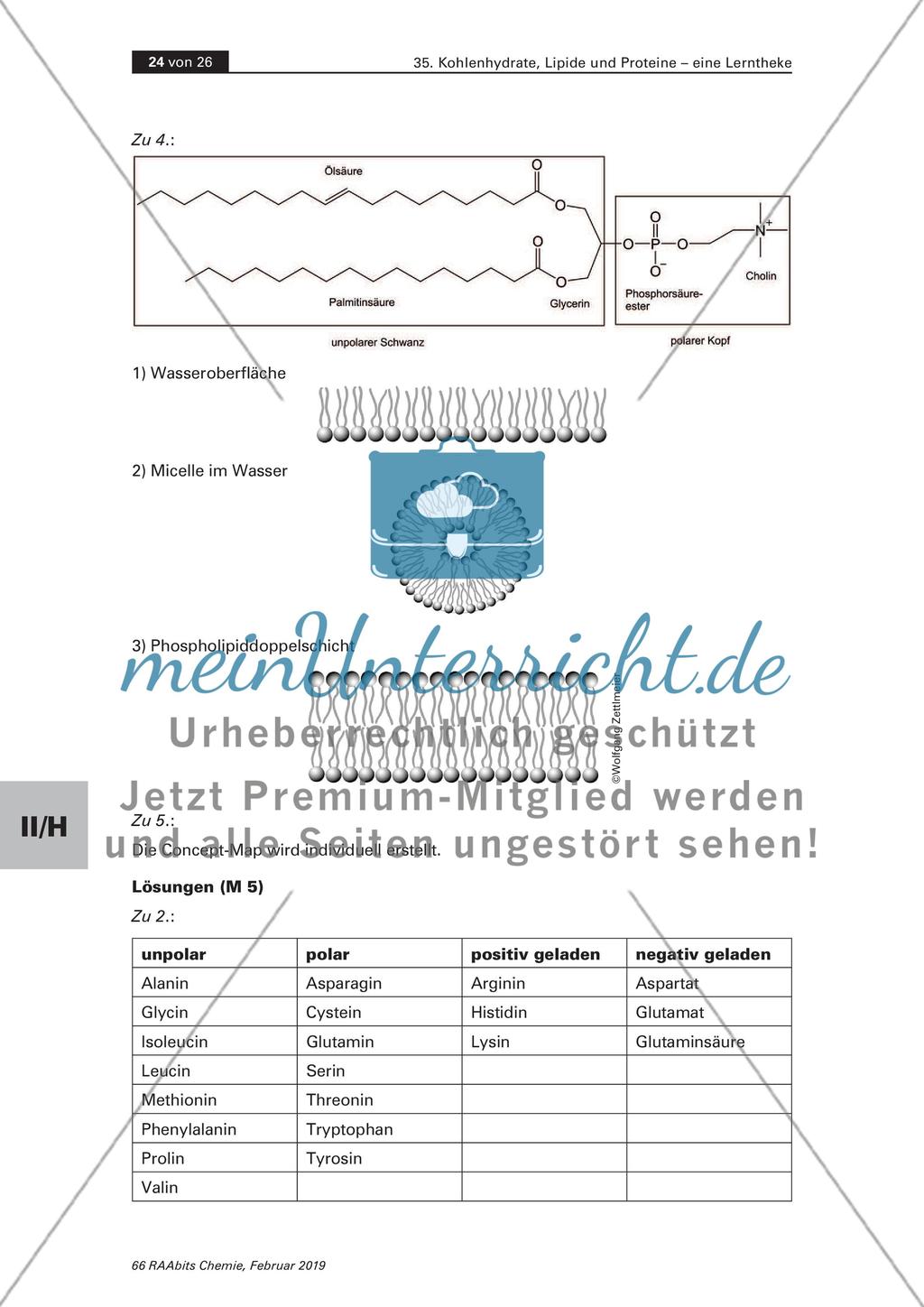 Lerntheke: Kohlenhydrate, Lipide und Proteine Preview 24