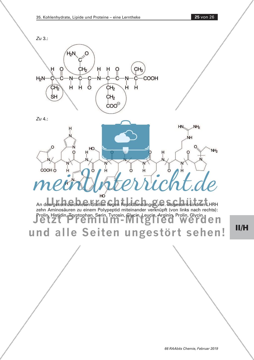 Lerntheke: Kohlenhydrate, Lipide und Proteine Preview 25