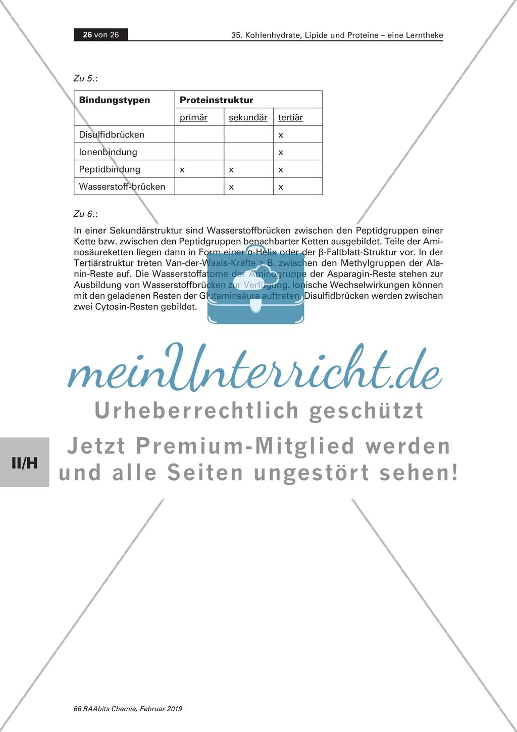 Lerntheke: Kohlenhydrate, Lipide und Proteine Preview 26