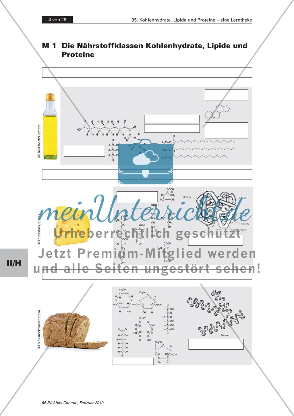 Lerntheke: Kohlenhydrate, Lipide und Proteine Preview 4